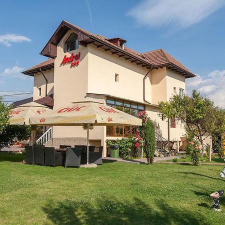 Pensiunea Andrei Rm Valcea Râmnicu Vâlcea المظهر الخارجي الصورة
