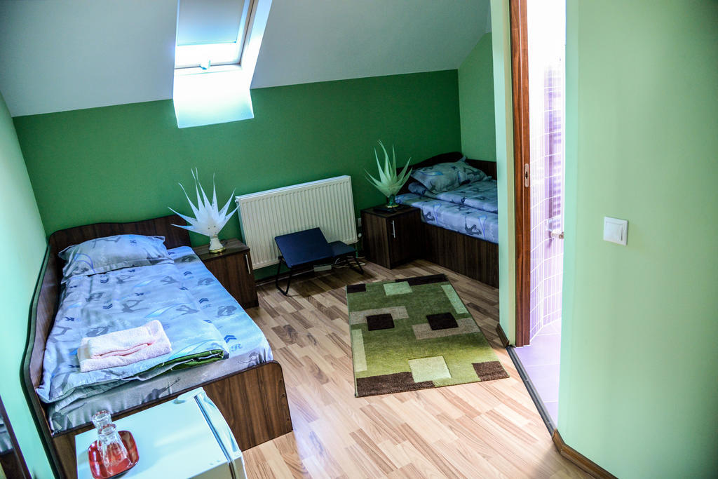 Pensiunea Andrei Rm Valcea Râmnicu Vâlcea الغرفة الصورة