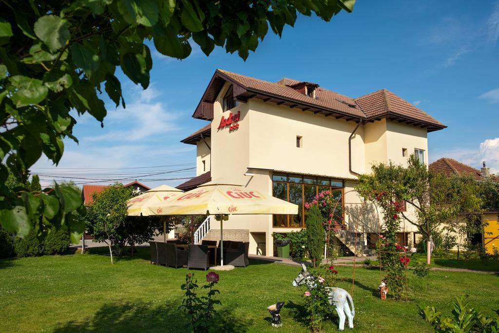 Pensiunea Andrei Rm Valcea Râmnicu Vâlcea المظهر الخارجي الصورة